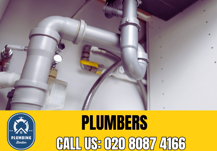  plumber Twickenham