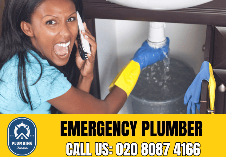 emergency plumber Hampton Wick