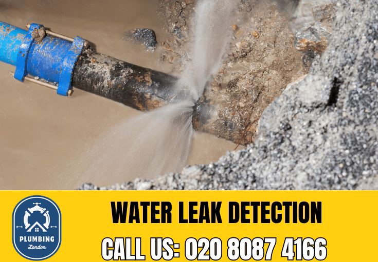 leak detection Hampton Wick